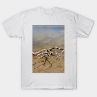 Driftwood T-Shirt